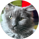 Beverley Leverton profile picture